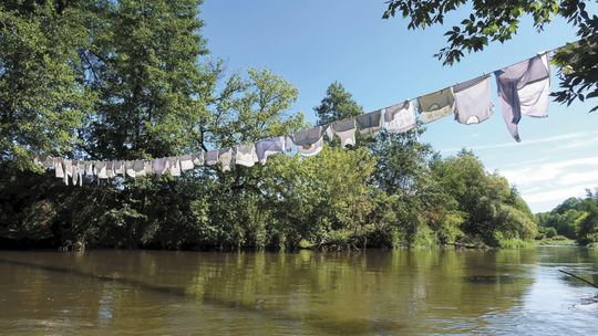 Wyjątkowy projekt nad Wieprzem. Nad rzeką wisi pranie, a gdzie są ryby?