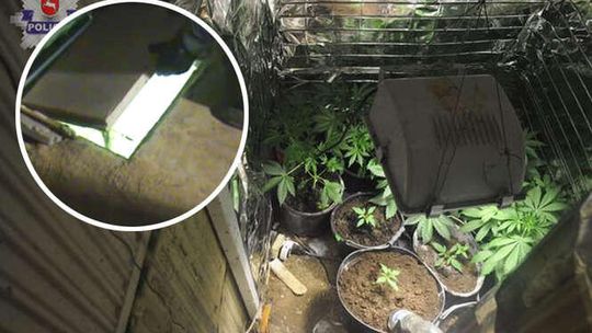 Wykopał bunkier, uprawiał w nim konopie