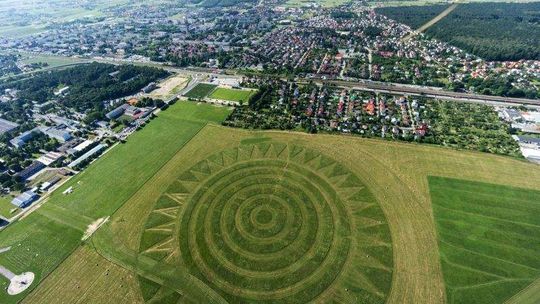 Wykosili landarty Koziary koło lotniska. Wszystko przez susły