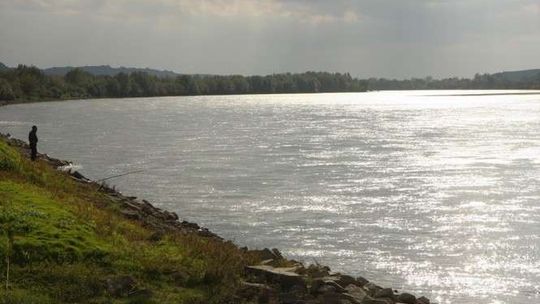 Wykoszą, odmulą i wyrównają wały na Wiśle i Kurówce