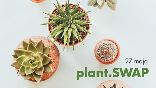 Wymiana roślin w Centrum Kultury 