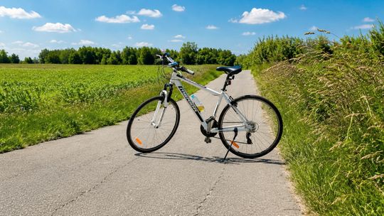 Wymienią tablice i mapy na rowerowych szlakach
