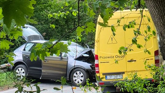 Wypadek drogowy z udziałem dzieci. Ponad 20 osób poszkodowanych