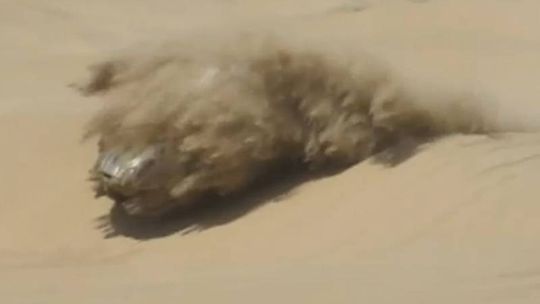 Wypadek Hołowczyca - Dakar 2013. Zobacz wideo