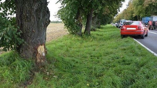 Wypadek koło Białej Podlaskiej. Na prostym odcinku wypadła z drogi i uderzyła w drzewo
