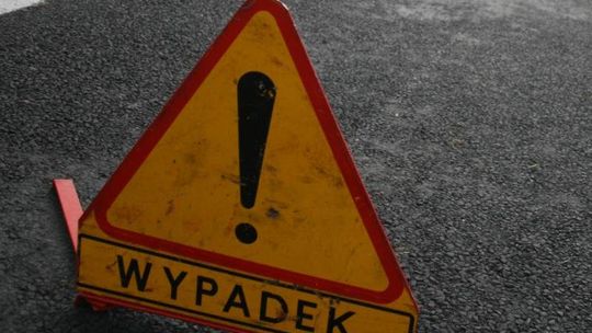 Wypadek na drodze Łęczna - Włodawa. Samochód zderzył się z sarną