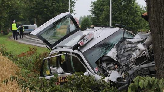 Wypadek na ul. Nałęczowskiej. Taksówka wbiła się w drzewo, zginął kierowca (wideo, zdjęcia)