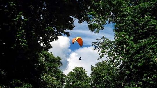 Wypadek paralotniarza. Spadł z wysokości i utknął na drzewie