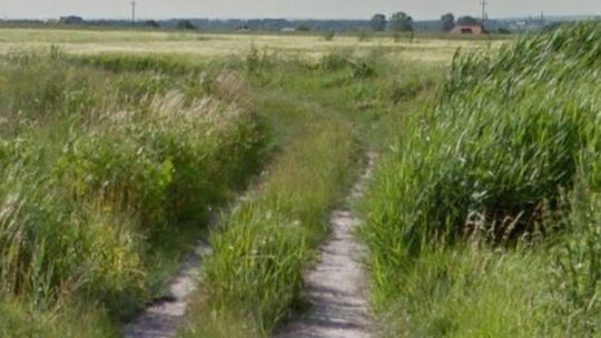 Wypadek pod Zamościem. Najechał na człowieka leżącego w trawie