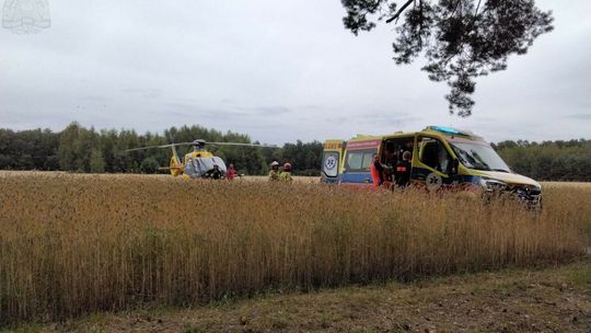 Wypadek podczas wycinki drzew. Rannego mężczyznę musiał zabrać helikopter LPR