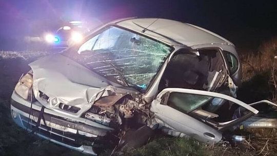 Wypadek toyoty w Dorohuczy. Łoś wybiegł na drogę