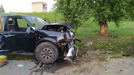 Wypadek w Annopolu. Trzy osoby przewiezione do szpitala [zdjęcia]