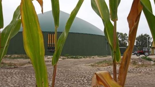 Wypadek w bioelektrowni: Dwie osoby nie żyją, prezes zatrzymany