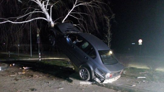 Wypadek w Janowie Lubelskim. Kierowca BMW "zaparkował" na drzewie [FOTO]