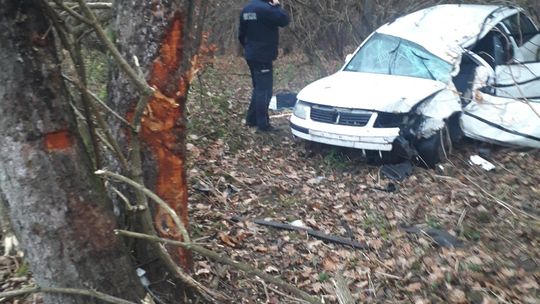 Wypadek w Olszance. Samochód uderzył w drzewo
