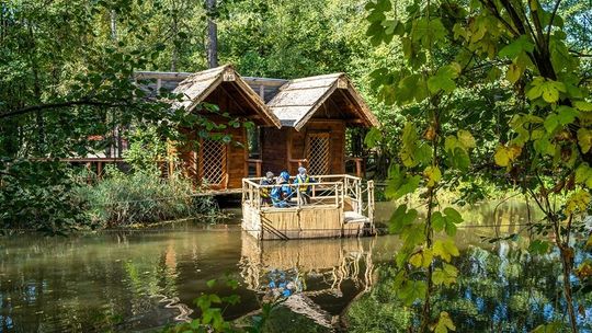 Wypadek w parku rozrywki. Poszkodowani to niepełnosprawni z województwa lubelskiego 