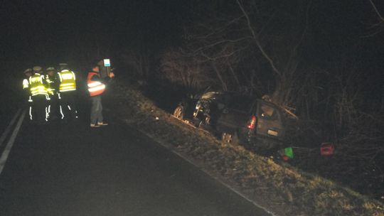 Wypadek w Płouszowicach. Kierowca pędził 140 km/h, nie żyje (wideo)