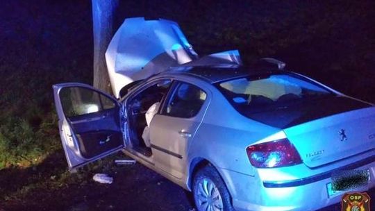 Wypadek w Trojaczkowicach, kierowca wjechał w drzewo