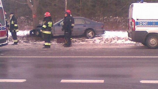 Wypadek w Zalesiu: Honda uderzyła w drzewo