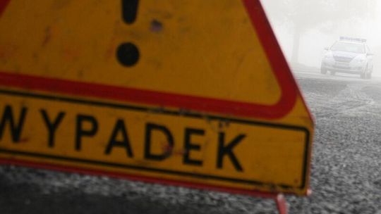 Wypadki w Lublinie i Borkach. Borsuk wyskoczył na drogę
