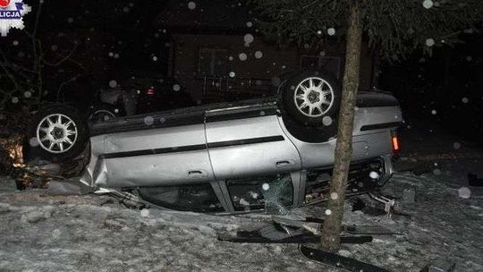 Wypadł z drogi i dachował w ogródku