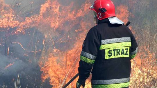 Wypalanie traw: Strażacy non stop w akcji 