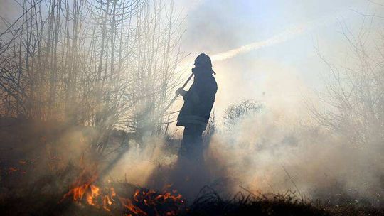 Wypalanie traw szkodzi i można stracić dopłaty