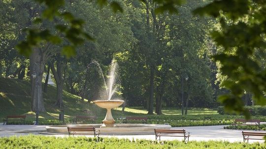 Wypłoszyć ptaki z parku. Przyrodnicy miażdżą pomysł, który uzyskał pozytywną ocenę urzędników