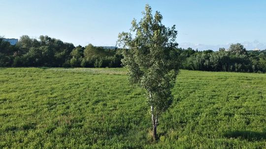 Wyrok na górki czechowskie już w niedzielę, choć badania jeszcze trwają. Rozmowa z Ewą Trzaskowską