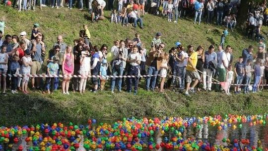 Wyścig Kaczek 2017 w Lublinie. Która kaczka wygrała?