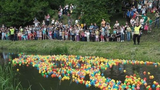 Wyścig kaczek w Lublinie. Będzie kolorowo