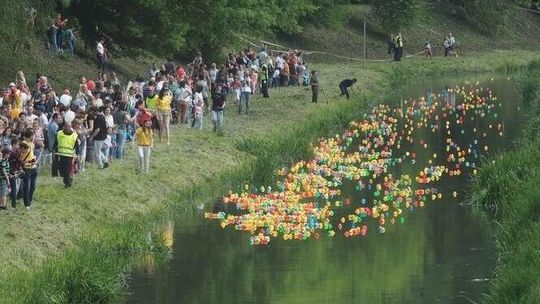 Wyścig kaczek w Lublinie. Nad Bystrzycą było kolorowo (zdjęcia)