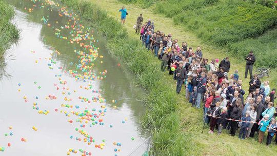 Wyścig kaczek w Lublinie. Niebieska wygrała rower (zdjęcia)