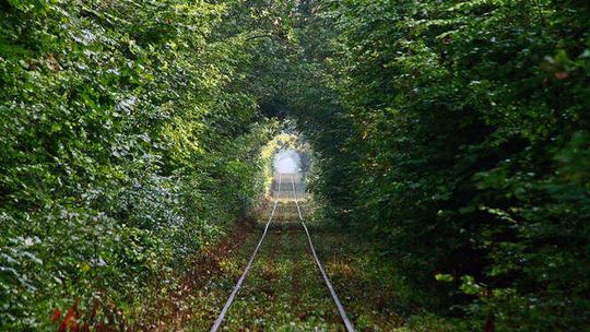 Wyślij zdjęcie, wygraj nagrodę. Trwa nasz konkurs  