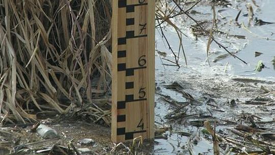 Wysoki stan na Bugu. Ogłoszono pogotowie przeciwpowodziowe