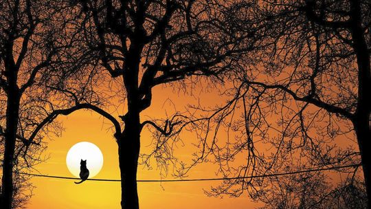 Wyspy ciepła widziane z kosmosu. Badania pomogą przetrwać upały