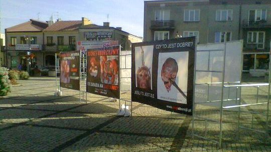 Wystawa antyaborcyjna w Kraśniku. Niektórzy krytykują