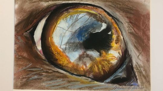 Wystawa "Czy te oczy mogą kłamać" w Galerii TPSP