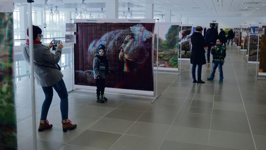 Wystawa "Dinozaury w trójwymiarze" w Targach Lublin