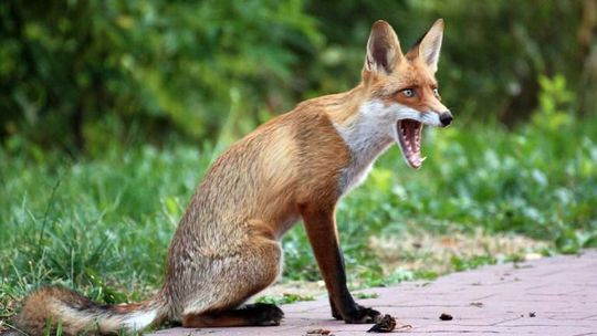 Wystawa fotografii Jerzego Liniewicza w DK LSM