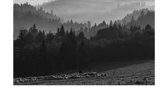 Wystawa fotografii Marka Rysia w Zamościu