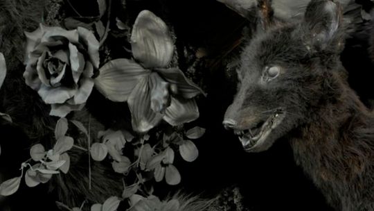 Wystawa "Grayscale" w Galerii Białej