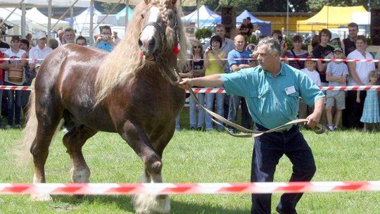 Wystawa i targi rolnicze w Sitnie: Impreza z długą tradycją (program)