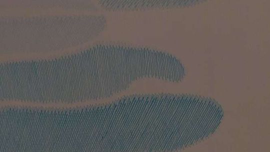 Wystawa Jana Dobkowskiego w Galerii Wirydarz