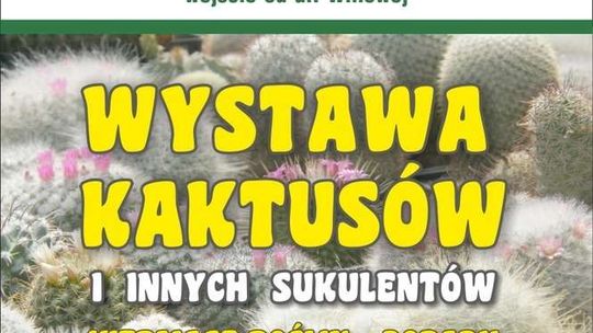 Wystawa kaktusów i innych sukulentów w Ogrodzie Botanicznym