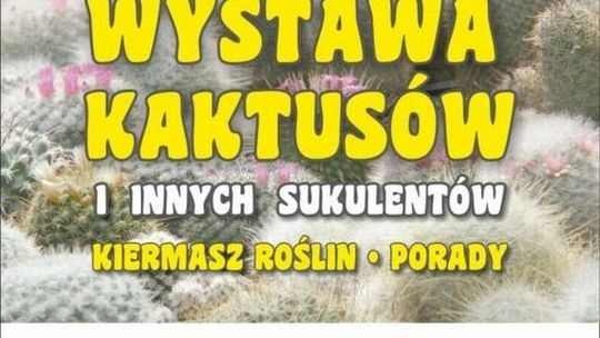 Wystawa Kaktusów i innych Sukulentów w Ogrodzie Botanicznym