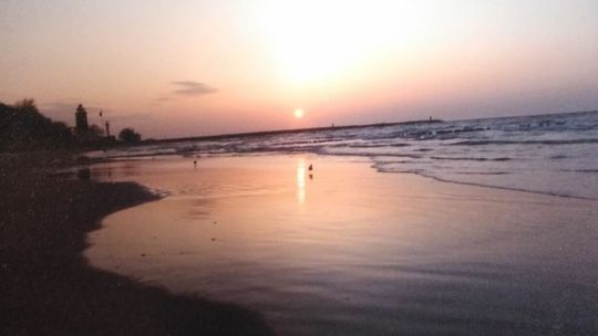 Wystawa Krystyny Staś w Galerii "Przy Bramie"