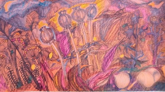 Wystawa "Metamorfozy stepu" w Galerii OKNA