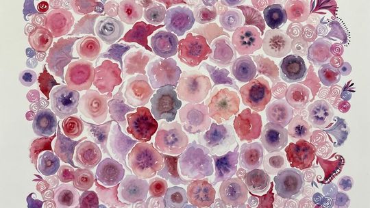 Wystawa "Moje Ogrody" w Wirydarzu