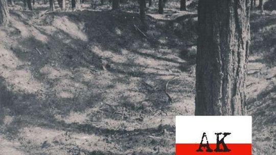 Wystawa poświęcona Konradowi Bartoszewskiemu w MBP 